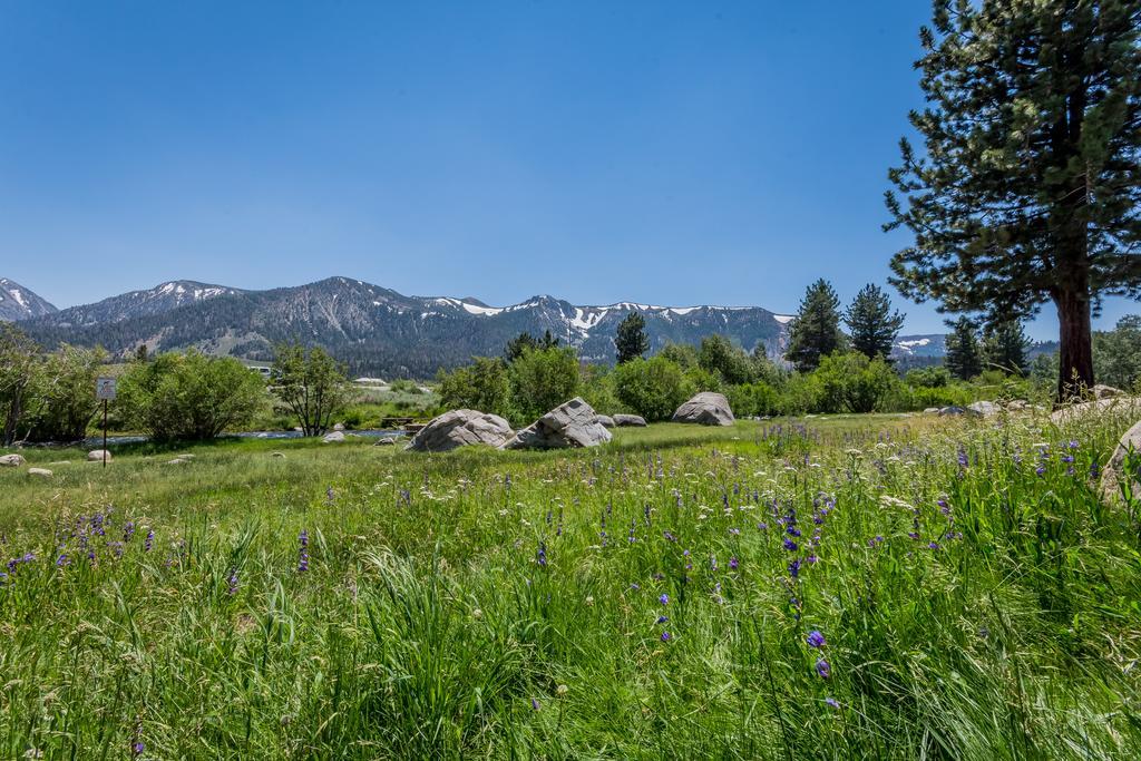 ממות' לייקס Mammoth Creek Condos מראה חיצוני תמונה
